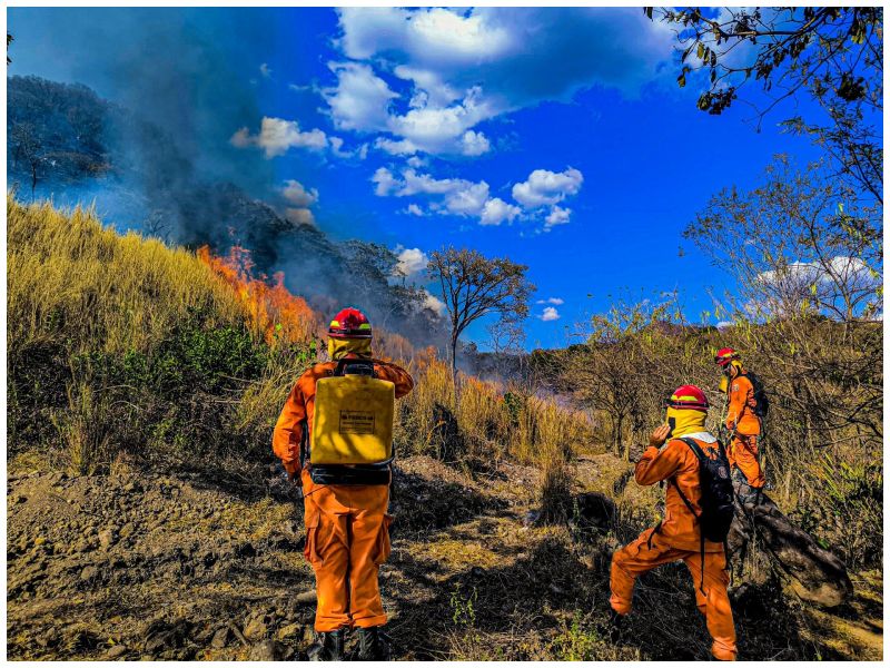 Equipos del Cuerpo de Bomberos atendieron en las últimas horas varios incendios en diferentes zonas del país.