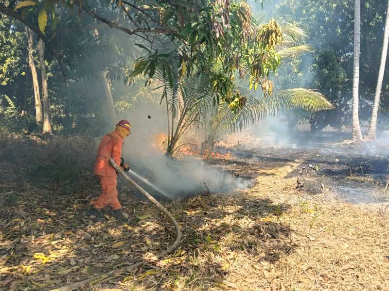 Bomberos realizó labores de control y liquidación de incendio en terreno con abundante rastrojo seco y hojarasca, registrado en terreno ubicado en el kilómetro 58 de la carretera Litoral, San Luis La Herradura, La Paz. Foto EDH/Cortesía