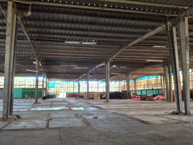 Interior del mercado