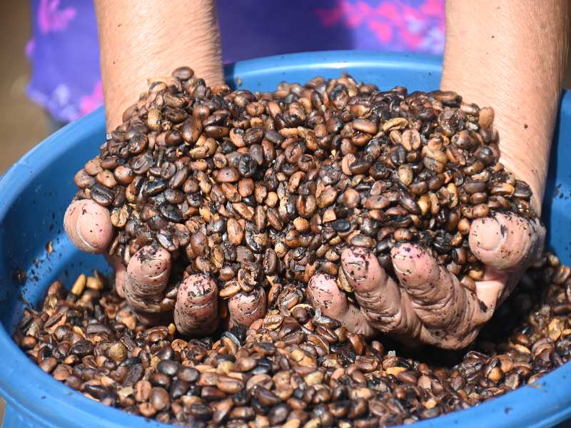 Las capacitaciones tendrán una duración de cuatro meses y no hay límite en la cifra de inscripciones. Foto EDH/Cristian Díaz