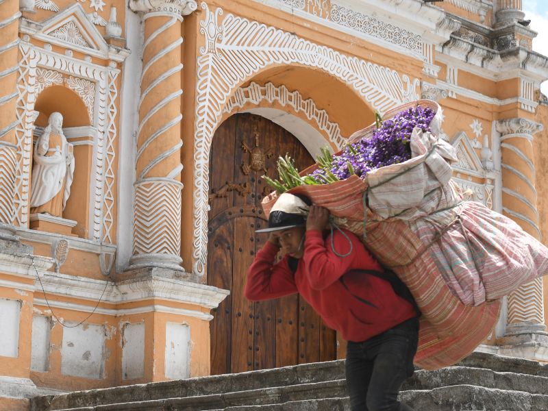 La "flor eterna" de Guatemala