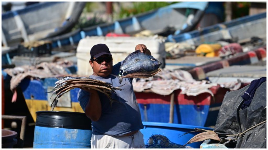 PESCADORES