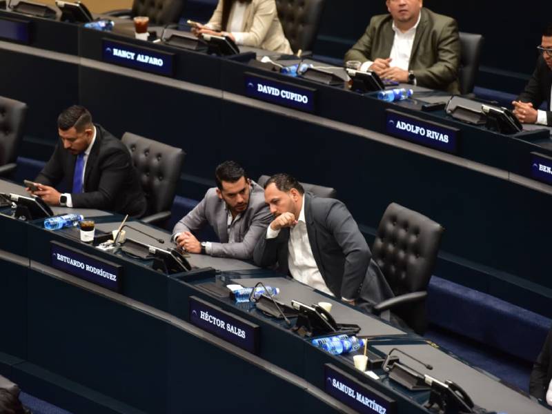 Plenaria-Asamblea- Régimen- Cadena Perpetua