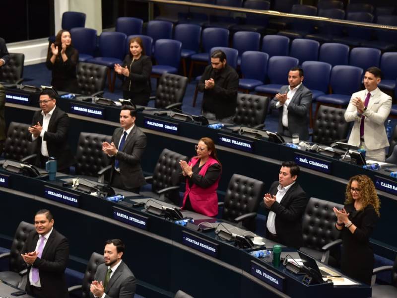 Plenaria-Asamblea- Régimen- Cadena Perpetua