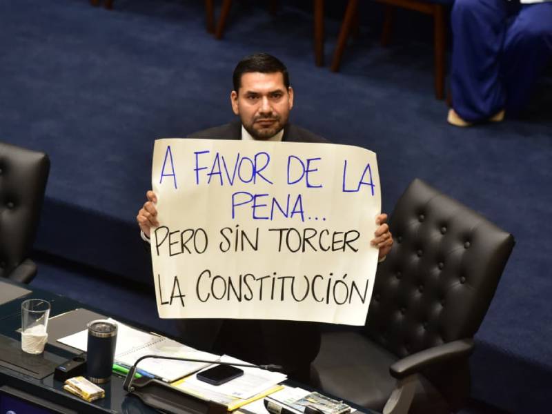 Plenaria-Asamblea- Régimen- Cadena Perpetua