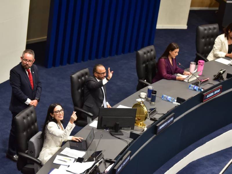 Plenaria-Asamblea- Régimen- Cadena Perpetua