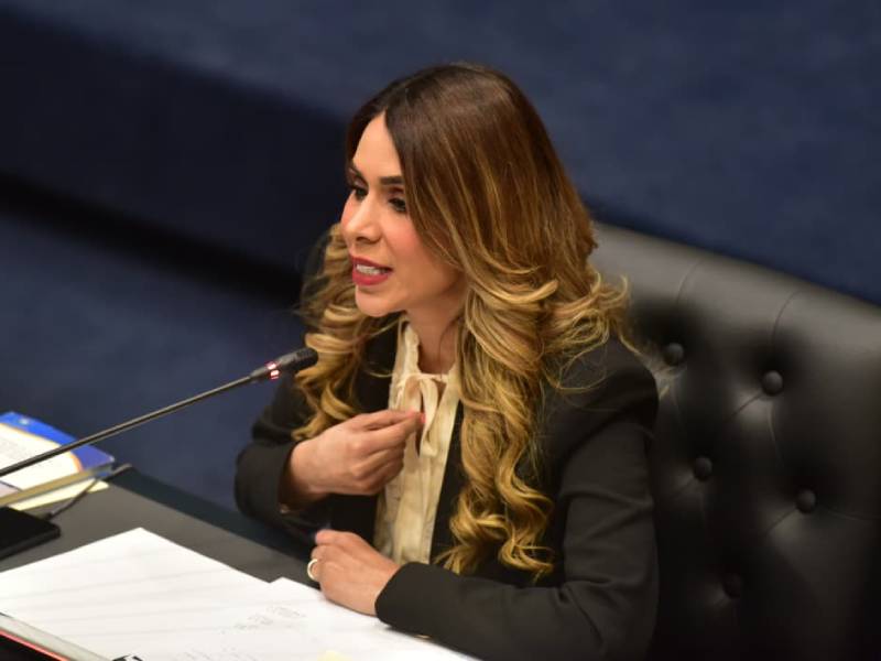 Plenaria-Asamblea- Régimen- Cadena Perpetua