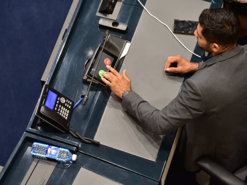 Plenaria-Asamblea- Régimen- Cadena Perpetua