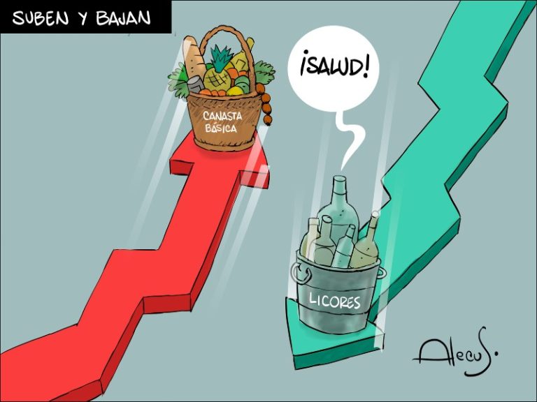 alecus canasta basica (1)