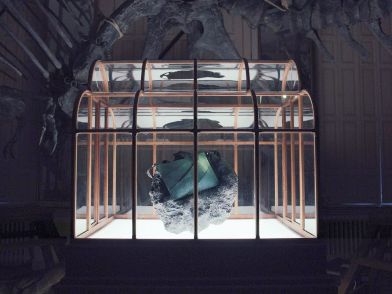 Crean bolso con proteína de T-Rex