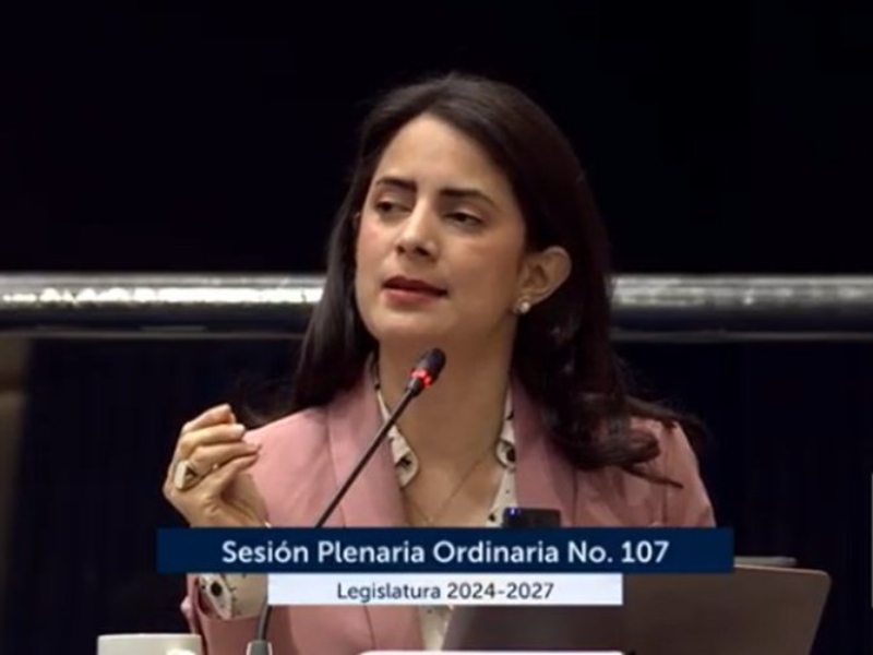 La diputada Claudia Ortiz