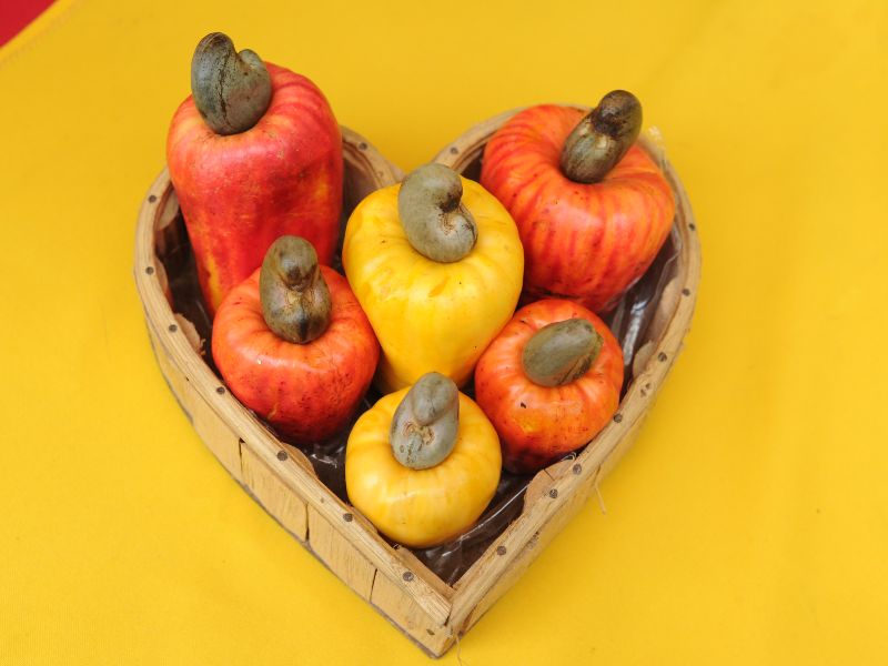 Festival del Marañón en Tecoluca