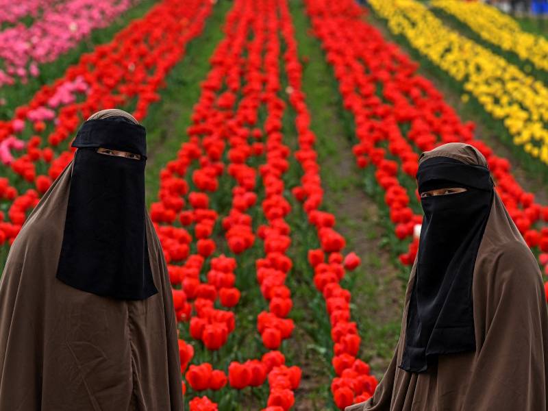 Tulipanes- Celebración- Mundial- Flores- Colores-Compra