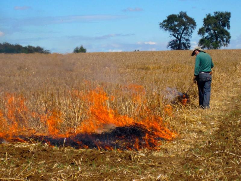 quema-agricola-prohibido-rafagas-fuego-MARN-ministerio-de-medio-ambiente