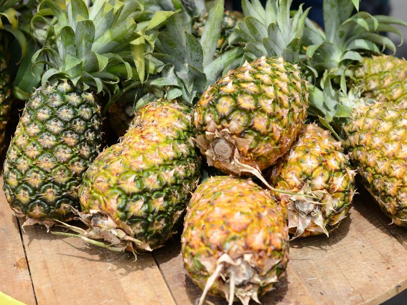 Festival de la Piña