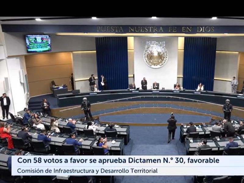 Sesión plenaria 111