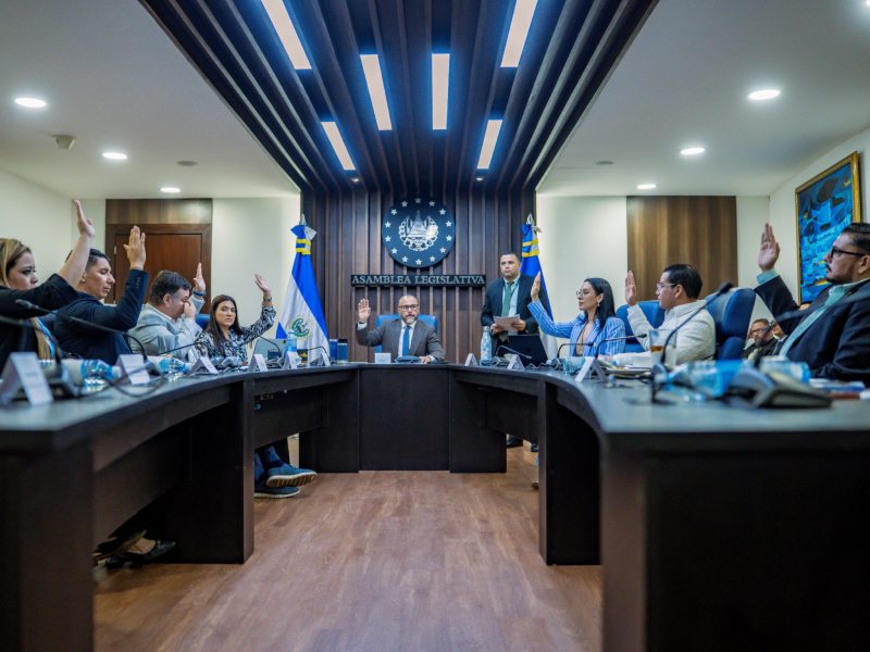 Diputados oficialistas votaron a favor de los dictámenes para realizar reformas para el sufragio en el exterior. Foto EDH/Cortesía