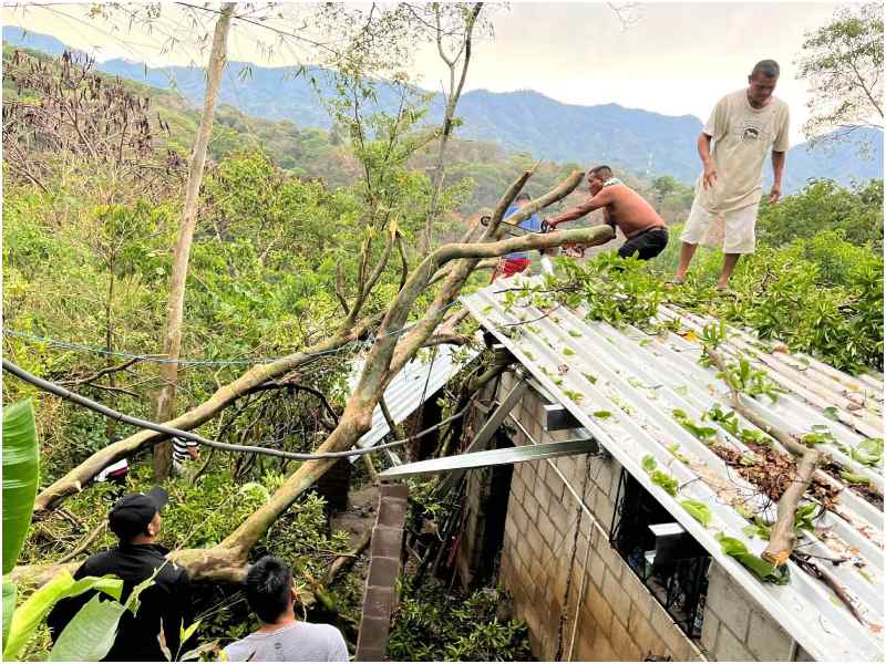 Una vivienda resultó con daños por la caída de un árbol en Tacuba, Ahuachapán. Foto EDH/Cortesía