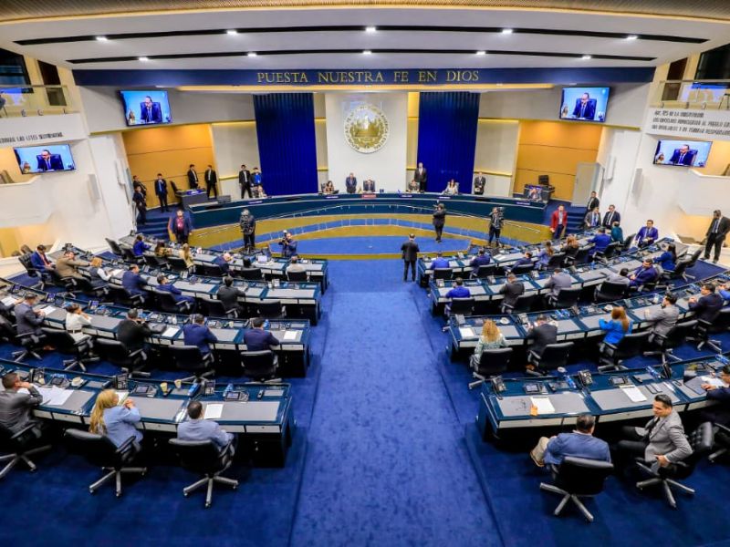 Asamblea Legislativa Plenaria Marcas