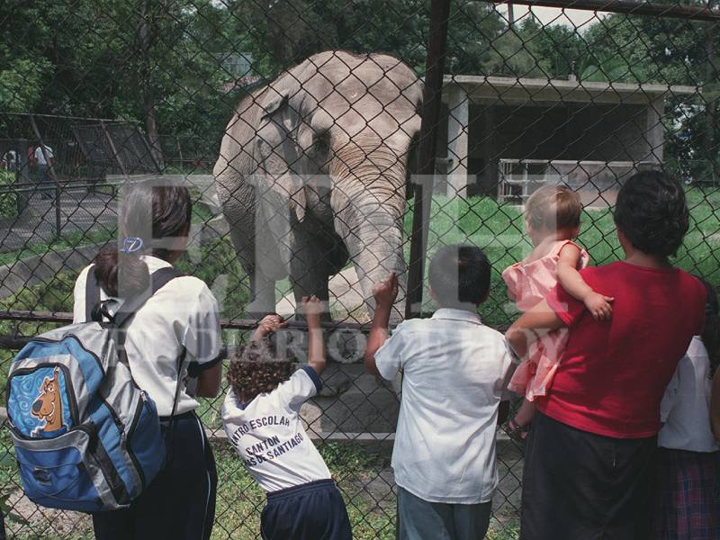 Manyula- Zoológico- El Salvador- Aniversarios- Familias- Celebraciones- Muerte