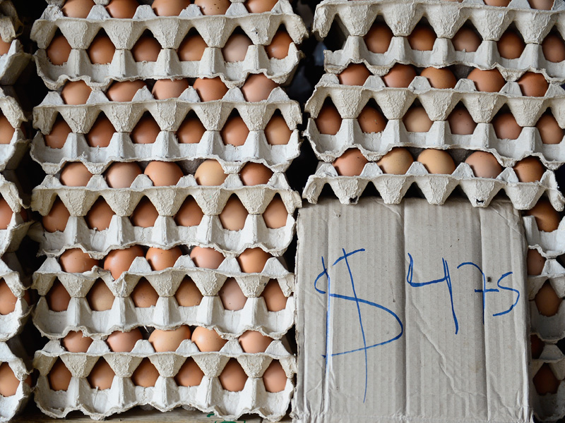 Huevos Canasta Basica El Salvador