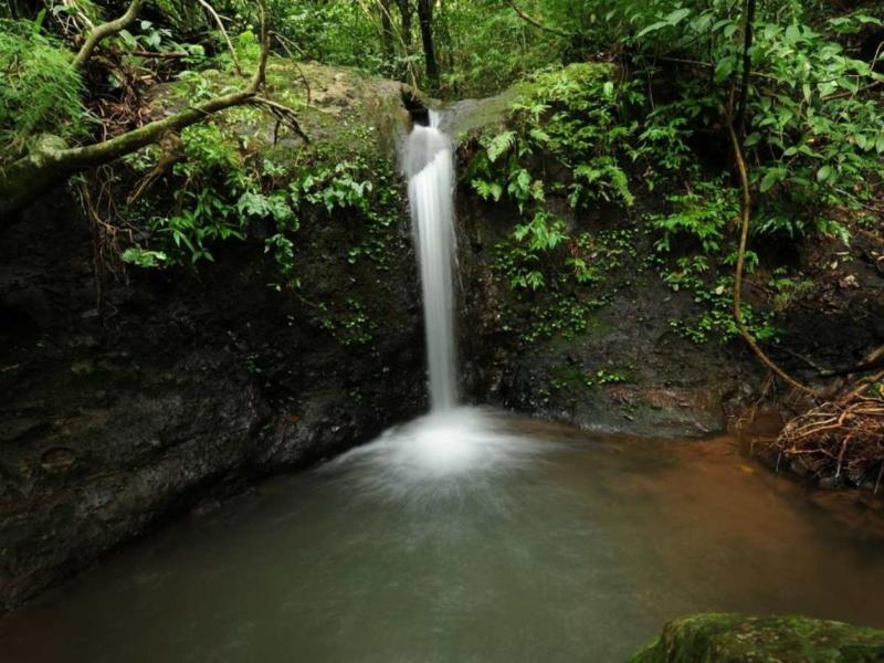El parque Nacional El Imposible es una de las ANP con las que cuenta El Salvador. Foto EDH/Cortesía