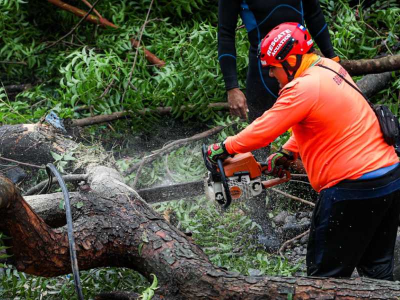 Protección Civil realiza la remoción de un árbol que cayó en el río El Jute, La Libertad Costa, como consecuencia de la ahora vaguada Cristina. Foto EDH/Cortesía
