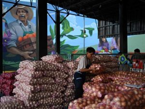 empleos TPS el salvador economía trabajo informal remesas