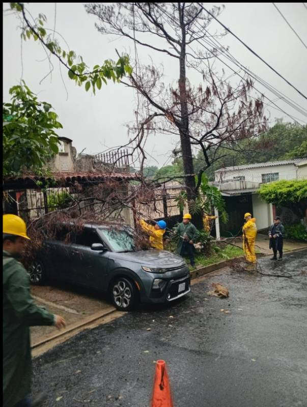 Trabajadores retiran ramas de un árbol caído sobre un carro gris en una zona residencial.