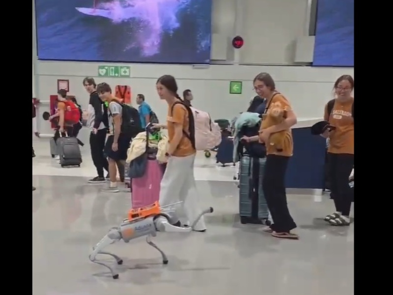 perro robot aeropuerto internacional