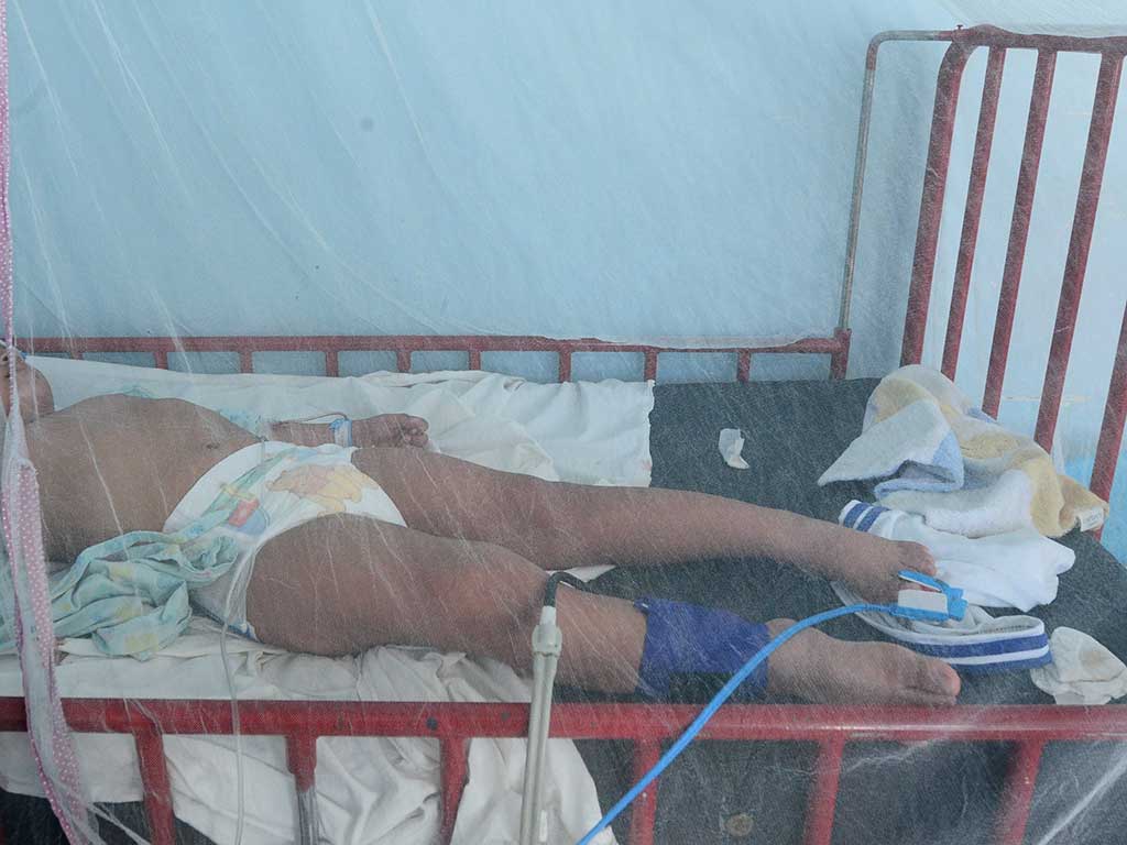 Dengue hospitales crisis de agua zancudos