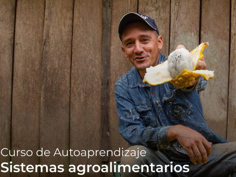 FAO cursos sistemas agroalimentarios