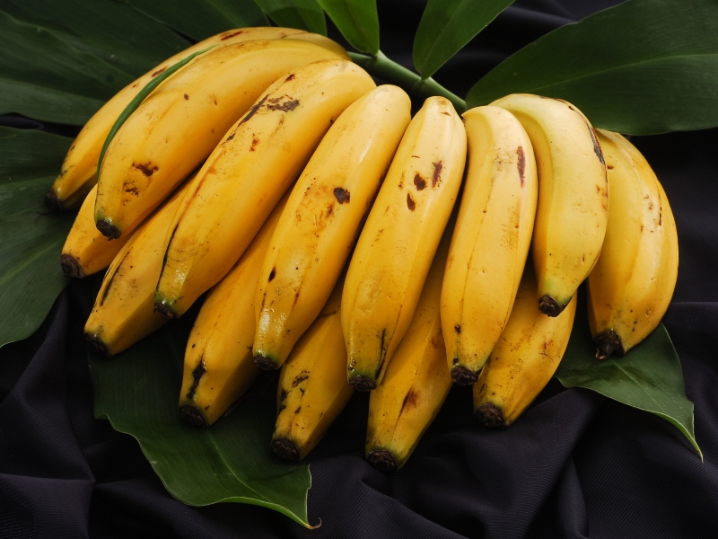 Racimo de bananas