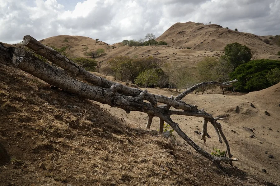 Fotografía de archivo en la que se ve la sequía causada por el fenómeno de El Niño. EFE