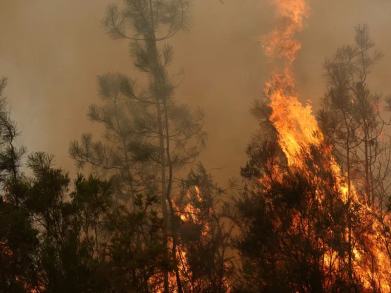 El incendio mantiene en alerta a las autoridades de España. Foto EDH/AFP