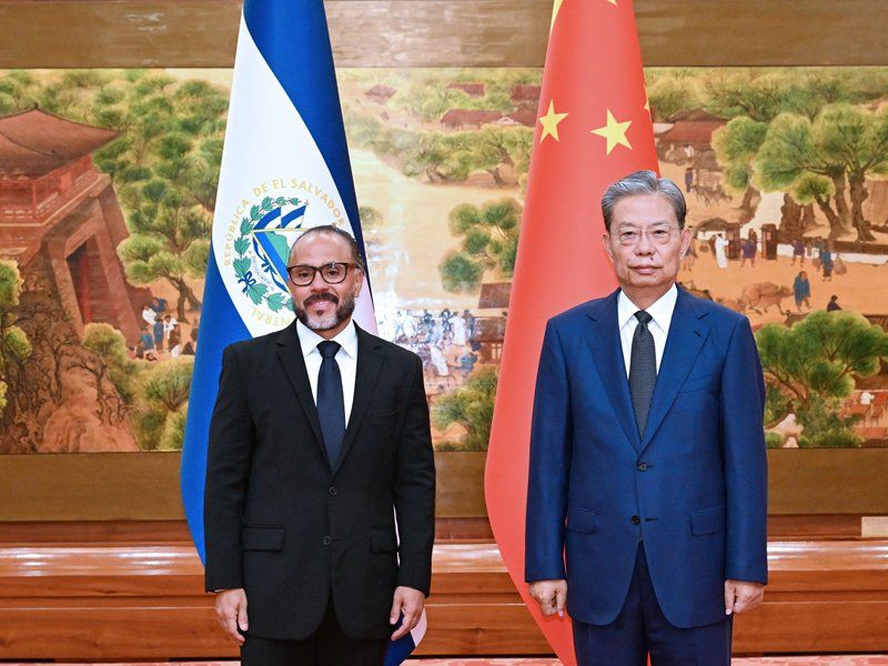 Ernesto Castro Zhao Leji