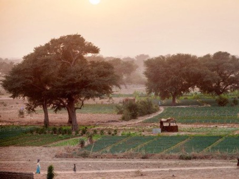 FAO degradacion tierra