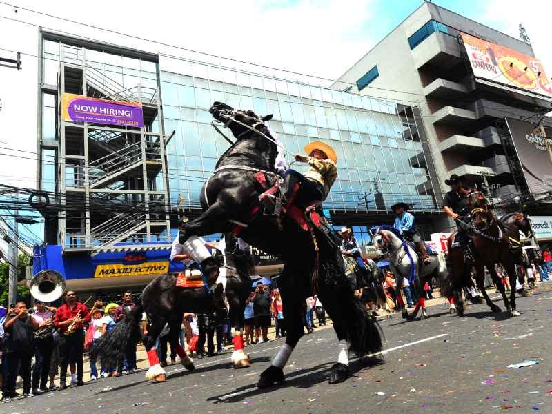 Espectacular desfile ecuestre desborda de alegría las calles capitalinas
