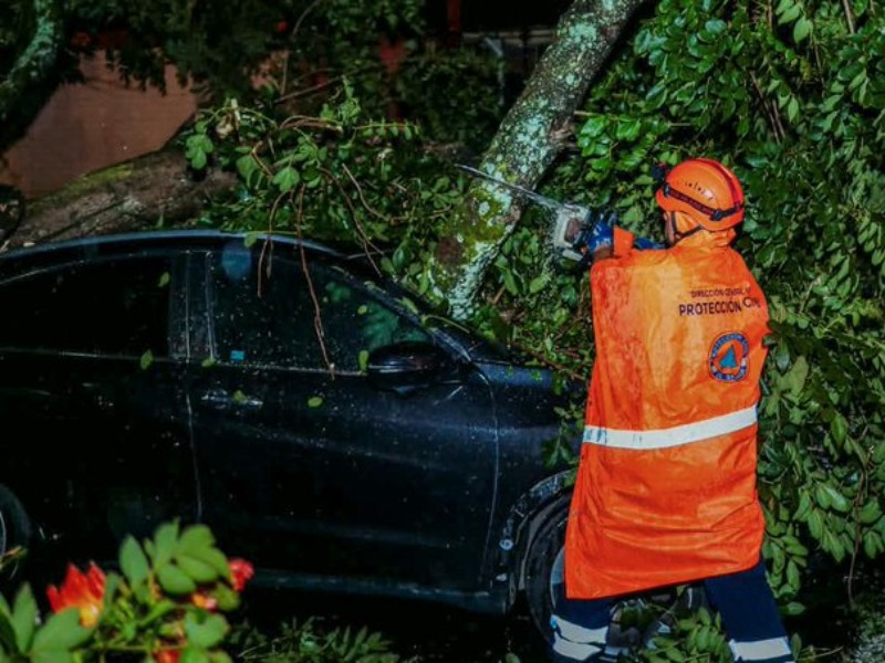 lluvias estragos arbol carro
