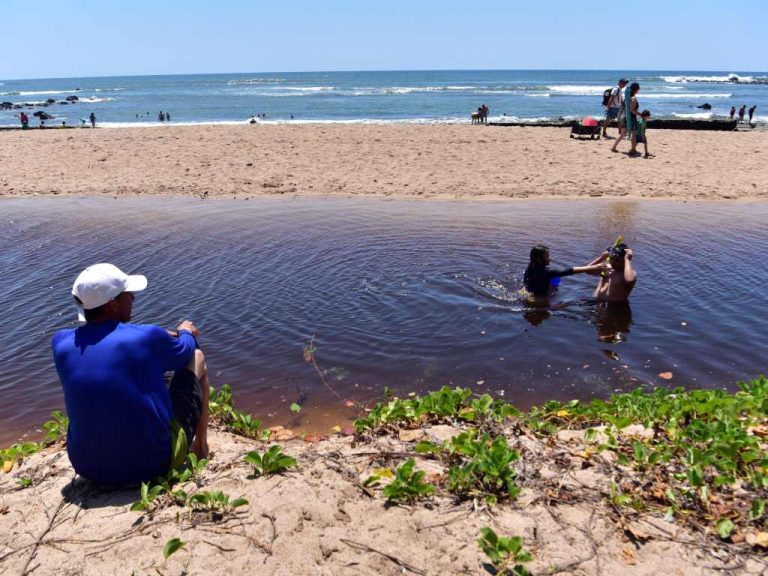 Hombre observa desde la duna a nadadores en las aguas tranquilas de la playa Los Almendros.