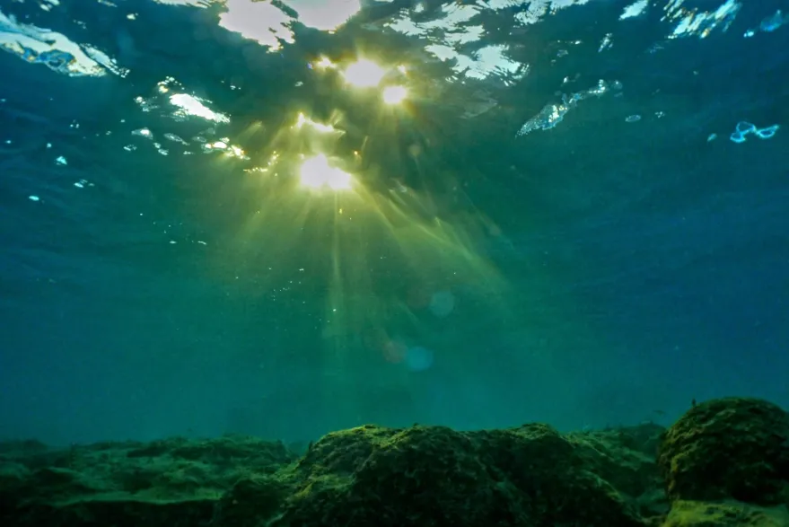 El calor alcanzó niveles nunca antes registrados en agosto a escala planetaria y la temperatura media de los océanos