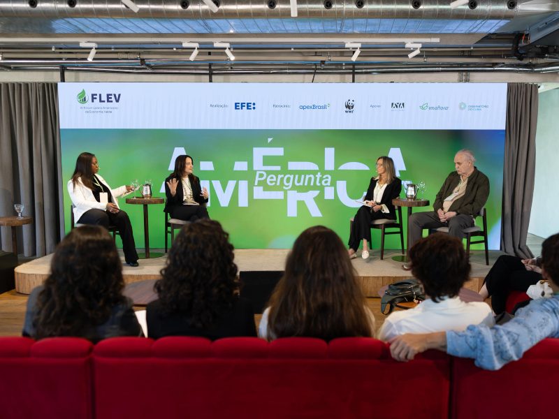 El potencial verde de Latinoamérica, entre la geopolítica y el desafío de El Niño. Foto EFE