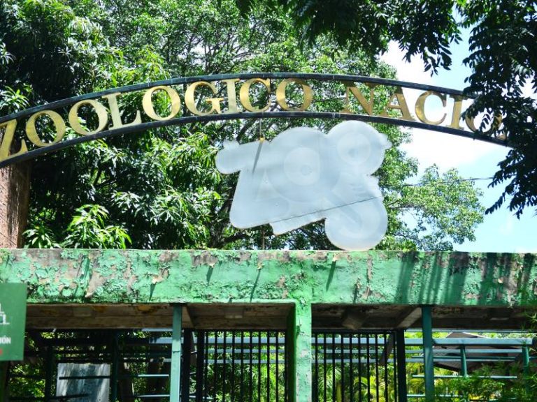 Fotografía del Parque Zoológico Nacional de El Salvador en la Finca o barrio Modelo de San Salvador.