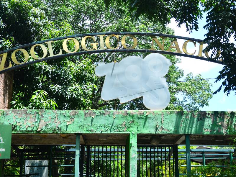 Fotografía del Parque Zoológico Nacional de El Salvador en la Finca o barrio Modelo de San Salvador.