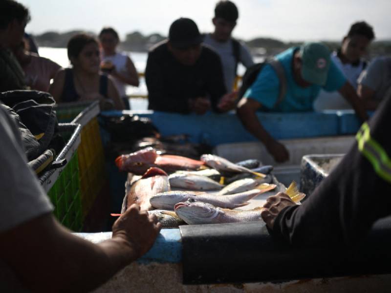 Pescadores artesanales vendiendo pescado fresco a lo largo del Muelle del Puerto de La Libertad.