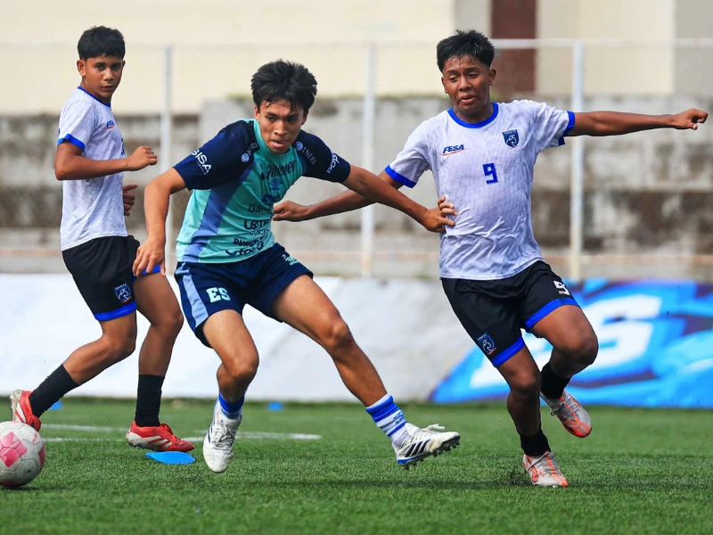 Selecta Sub 15