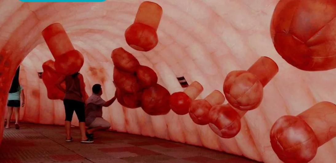 Vista de tamaño gigante de una reproducción de un colon humano. EFE
