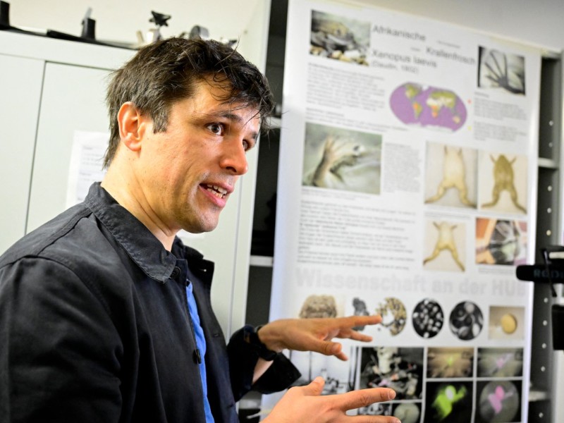 Premio nobel medicina